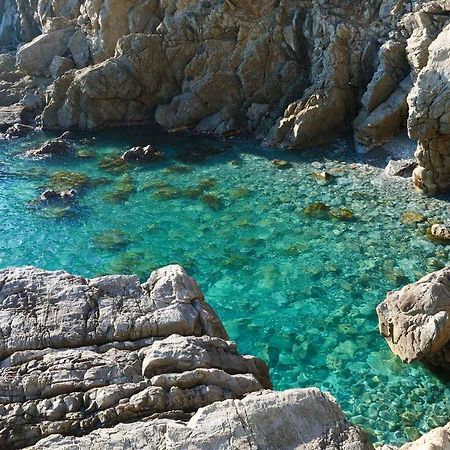 Il Cuore Di Moneglia - Moneglia Apartments מראה חיצוני תמונה