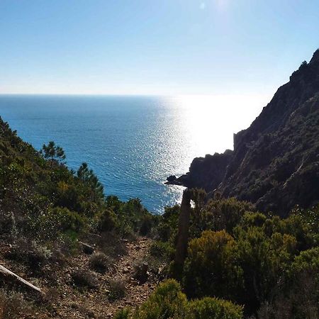 Il Cuore Di Moneglia - Moneglia Apartments מראה חיצוני תמונה